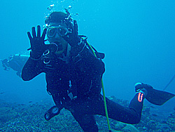 �^���^�� �j50�{ ���߂łƂ��I�I 