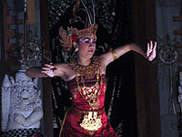 チエンドラワシー(極楽鳥)3