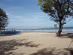 ���̃N�^�r�[�`