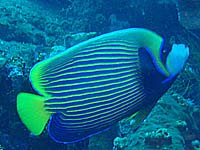 �^�e�W�}�L���`���N�_�C