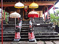 �S�A�E�������@