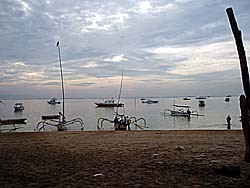 �T�k�[���̃r�[�`