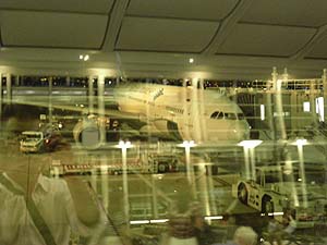 �K���[�_�C���h�l�V�A�q�� GA875