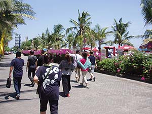 �C�����̕���