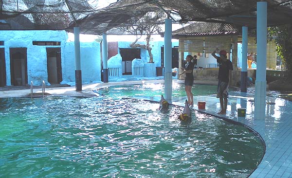 �C���J�V���[ 