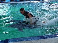 �C���J�V���[ 