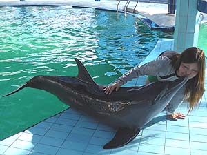 �C���J�ƈꏏ�Ɏʐ^�B�e�`