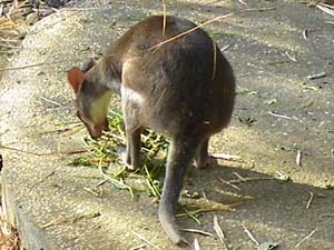 �����r�[