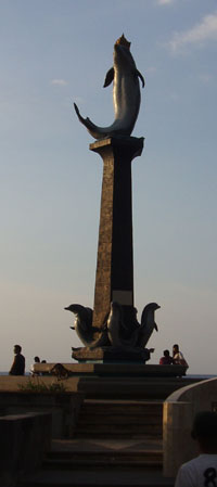 ���r�i�r�[�` �C���J��