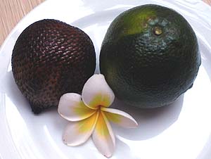 �����̒��H