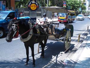 �N�^�̊X��������`