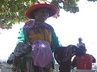 �N�^�����̕�����