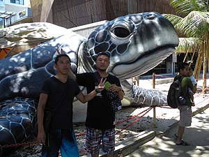 ����ȃE�~�K��