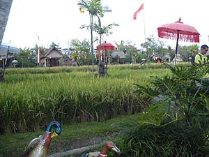 �c��ڂ��L�����Ă���