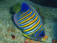 �j�V�L���b�R