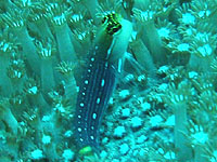 �^�e�W�}�w�r�M���|�H