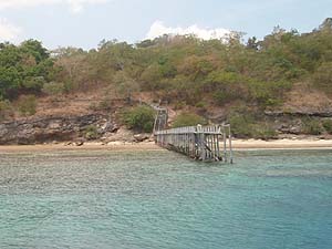 �����W���K����