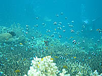 �G�_�T���S�Ə�������