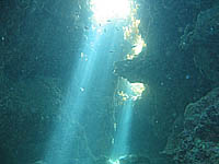 ���[�t�̓������H