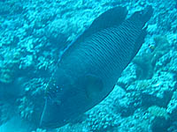 �i�|���I��