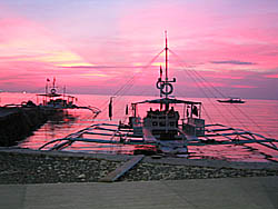 �V���b�v�O�̗[�Ă�