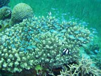 ���������ꂢ�I