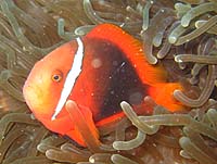 �n�}�N�}�m�~