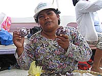 �����̃I�o�����