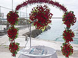 ���� ���������