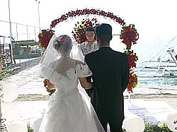 ���� ������