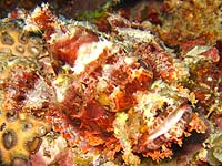 �I�j�J�T�S