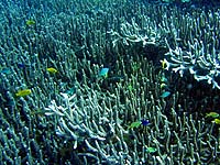 �G�_�T���S�����ꂢ�I