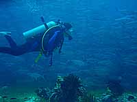 �M���K���A�W�̑�Q