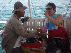 �o���J�T���� ���΂����