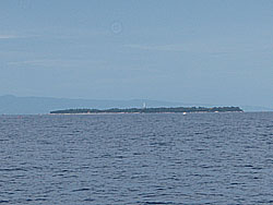 �o���J�T�O��