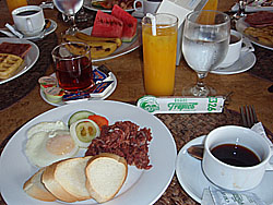 �{���̒��H