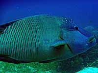 �i�|���I��