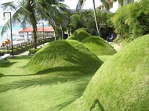 �g���s�b�N�X�z�e�����ɏo�������`���R���[�g�q���H