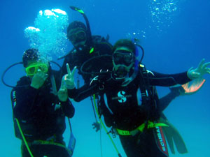 �u�K���̗l�q