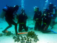 �u�K���̗l�q