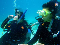 �u�K���̗l�q