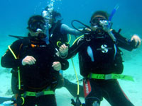 �u�K���̗l�q