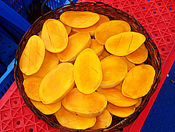 �{���̃����`