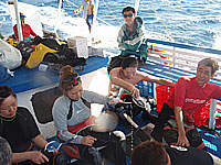 �D���̗l�q