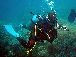 �N�q����