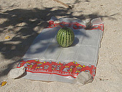 �X�C�J������