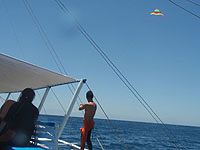  ���グ�`��