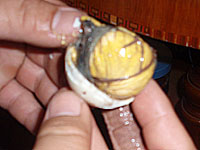 ���ӂ�2����`�I