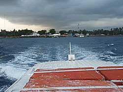 �h�}�̍`�͂��񂾂񏬂���