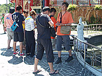 お賽銭をツボに入る